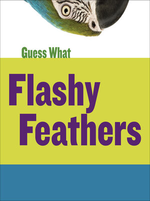 cover image of Flashy Feathers: Macaw